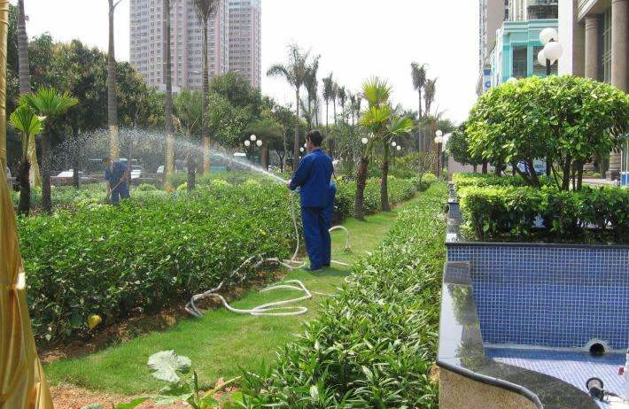 东莞清洁案例：专业园林绿化